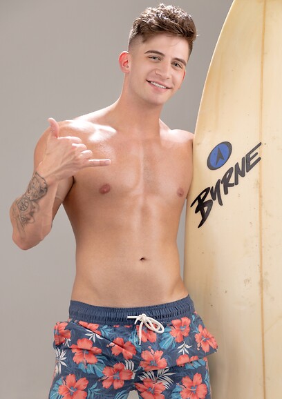 Falcon's Endless Summer